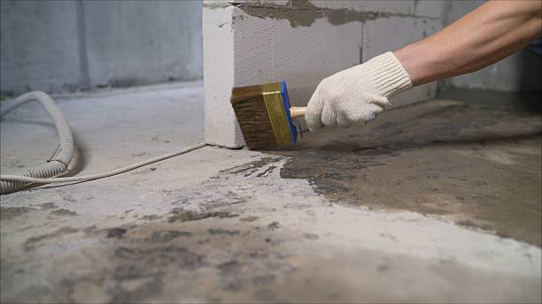 SJ Waterproofing Pros Waterproofing coverage map for Scottville, MI and surrounding area